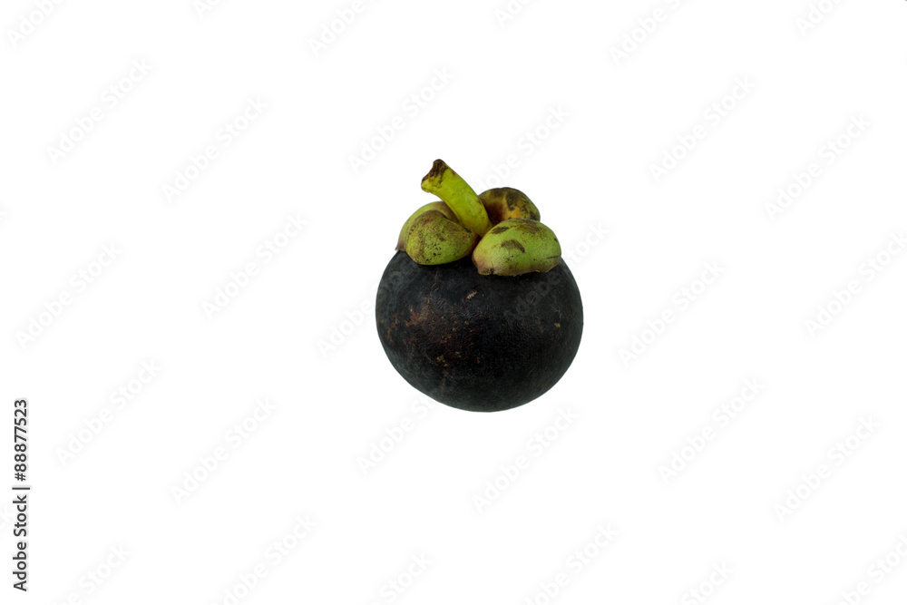 Obraz premium violet fruits isolate on white background
