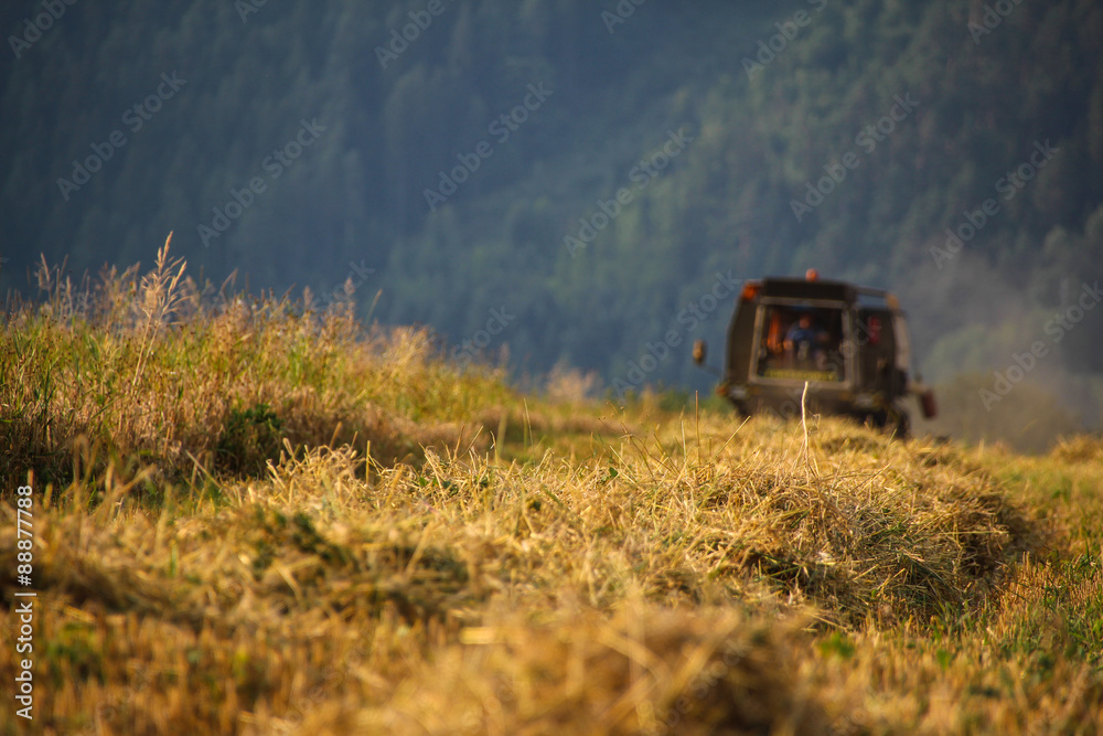 Naklejka premium Harvester