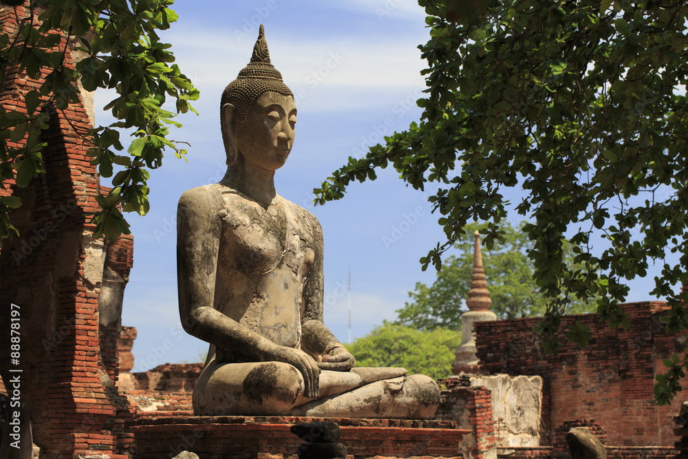 Fototapeta premium アユタヤの仏像