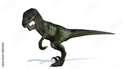 velociraptor dinosaurs - isolated on white background