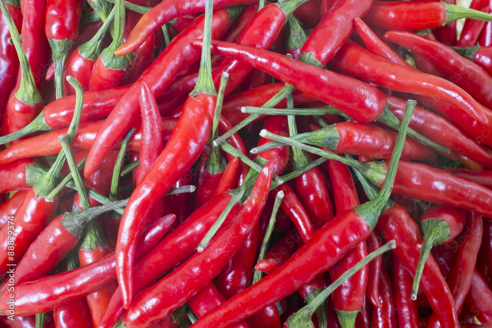 fresh red chili in group