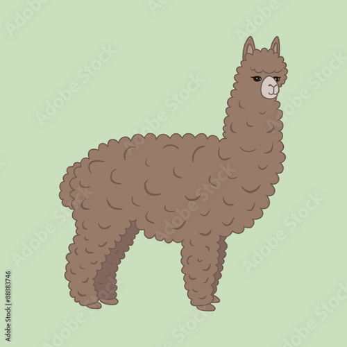 Cute furry brown alpaca. Vector illustration, eps10.