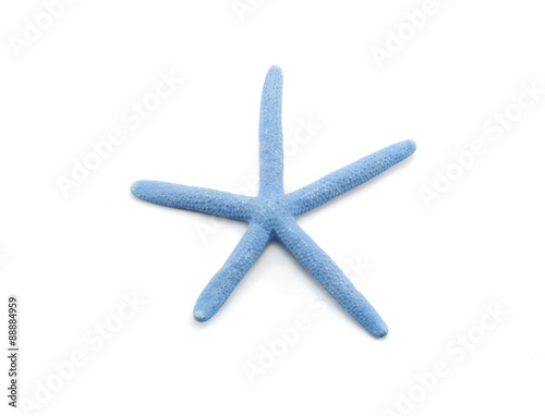 Blue starfish on white