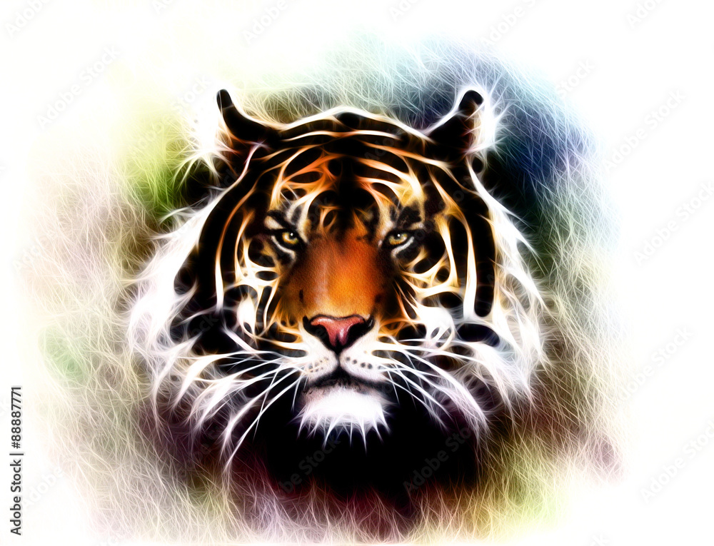 mighty tiger head, soft toned abstract background eye contact