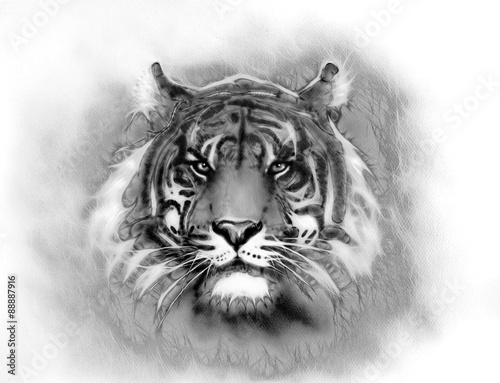 mighty tiger head. Black and white. abstract background eye