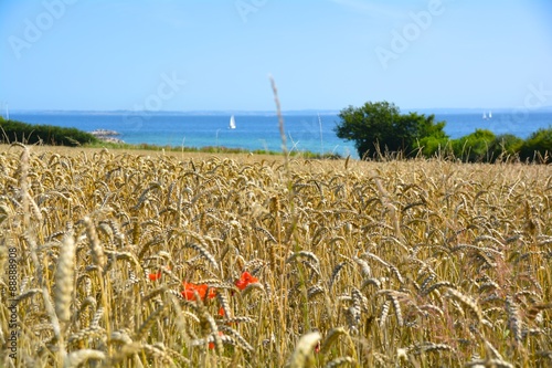 Dänemark - Blick auf die Os...