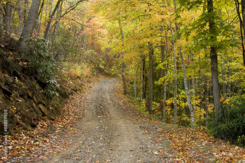 Country Road in the Woods during the Fall