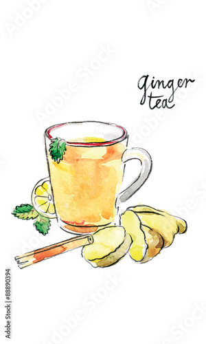 Watercolor vector ginger tea