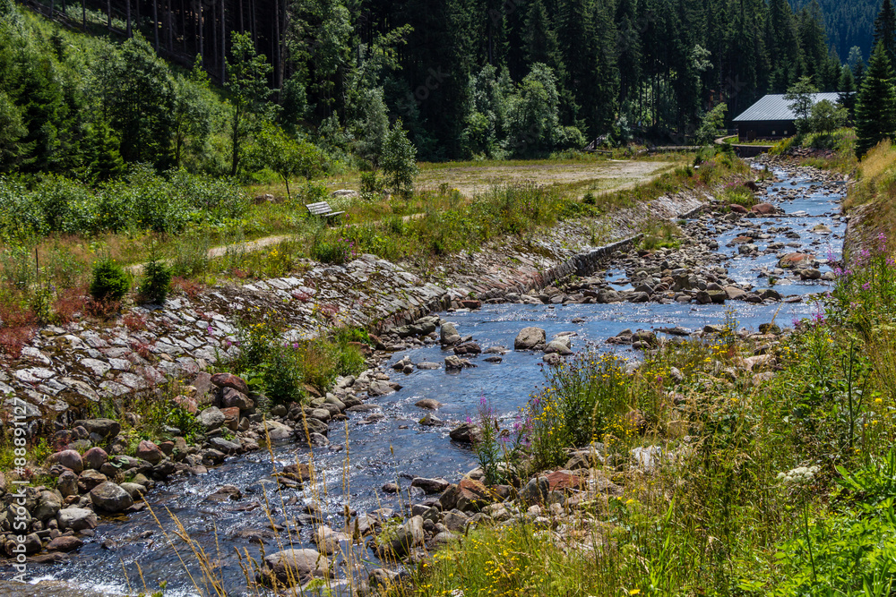 The river Bear Creek in the national park Krkonose in the Czech Republic
