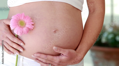 Wallpaper Mural Pregnant woman holding flower beside bump Torontodigital.ca