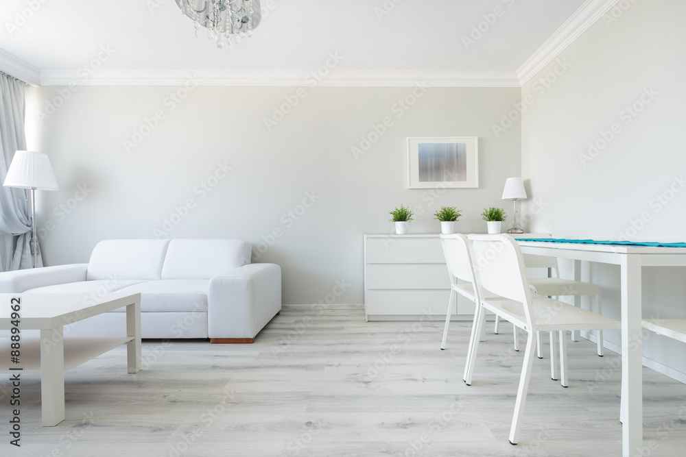 Fototapeta premium Funkcjonalne wnętrze nowoczesnego mieszkania