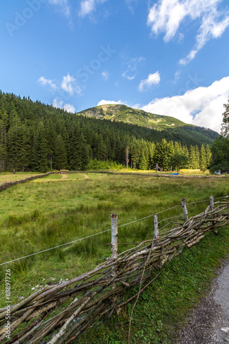 Fototapeta Naklejka Na Ścianę i Meble -  On the trail near Pec Pod Snezkou in Krkonose mountains, Czech Republic
