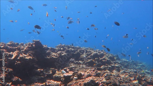 宮古島の海中散歩