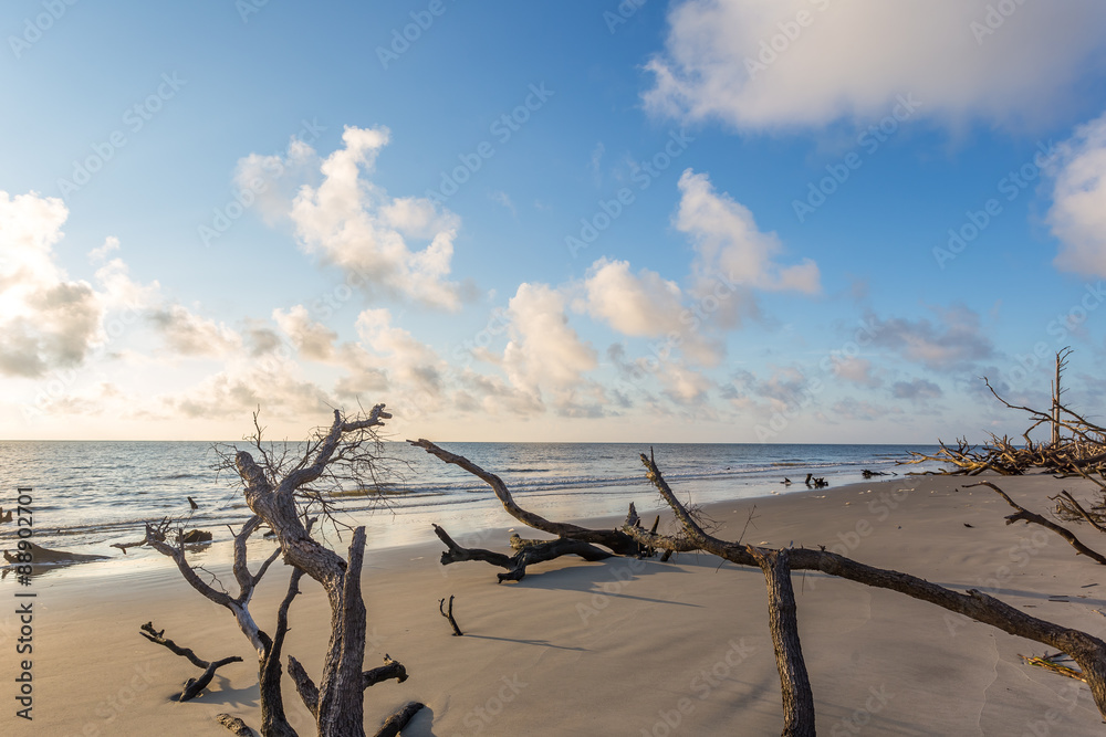 Driftwood Beach, Jekyll Island Georgia