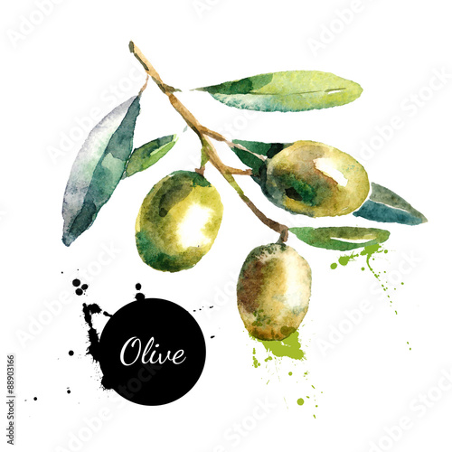 Hand drawn watercolor painting on white background