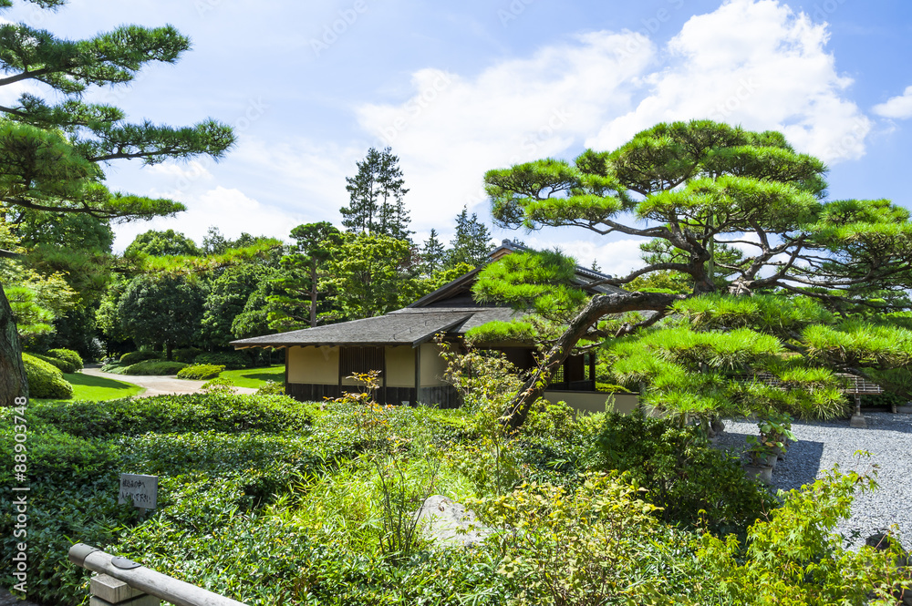昭和記念公園の日本庭園