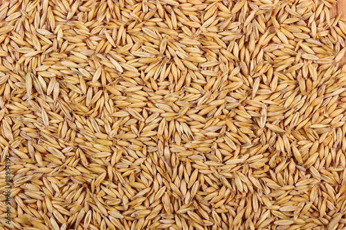 Organic oat grains as background, healthy nutrition