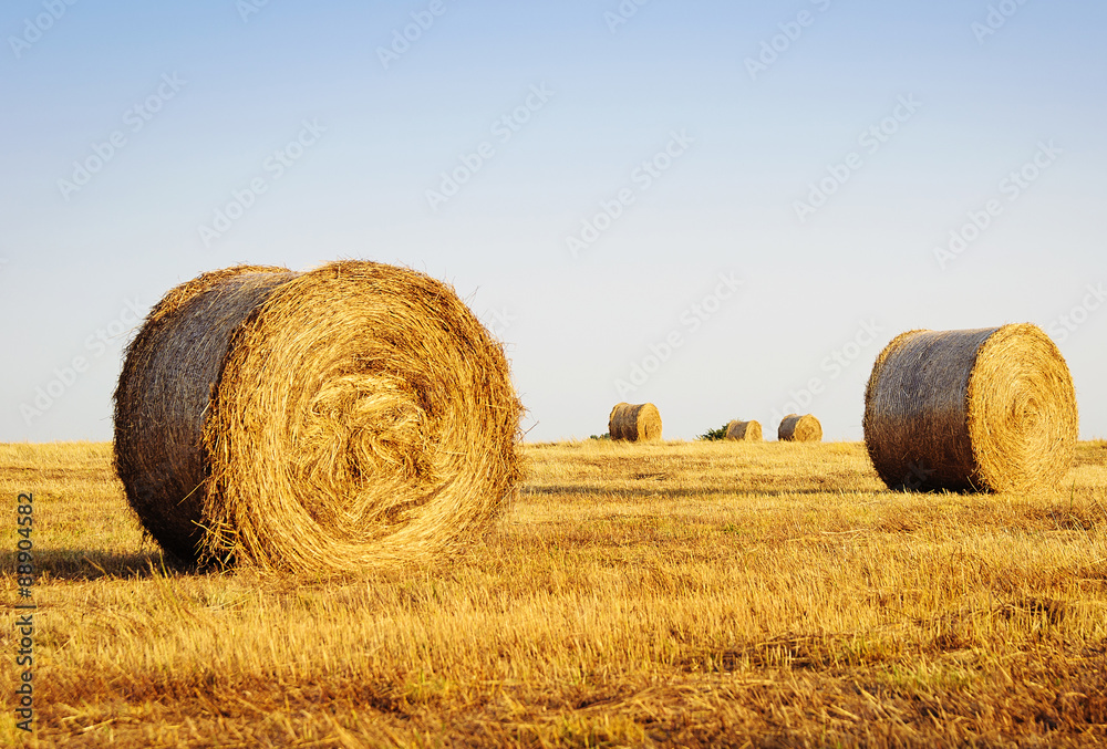 Rolling haystacks in countryside.