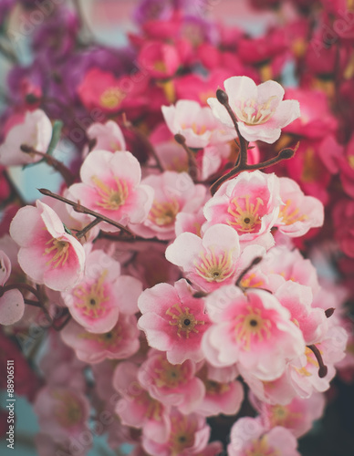 pink sakura flower © idambeer