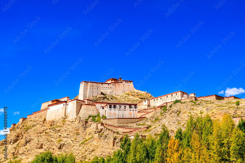 Shigatese iastle in Tibet Shigatese iastle in Tibet