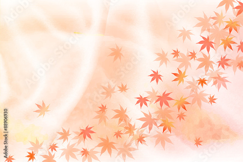 もみじ　紅葉　背景