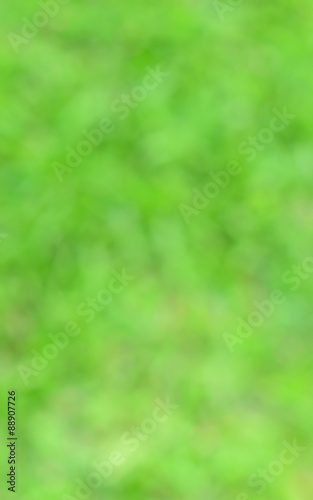 Photo from defocus blur at green grass in garden