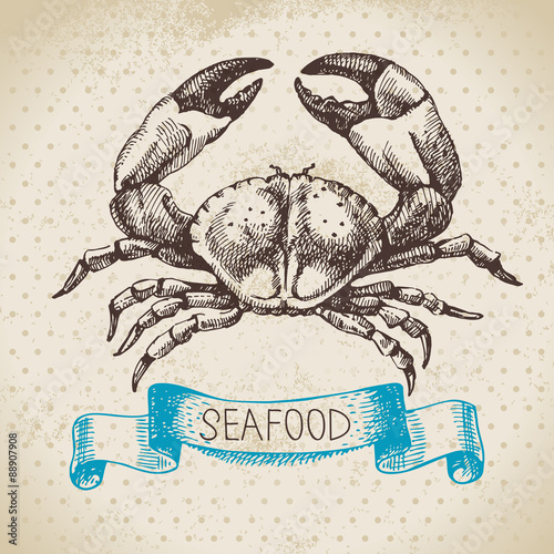 Vintage sea background. Hand drawn sketch seafood