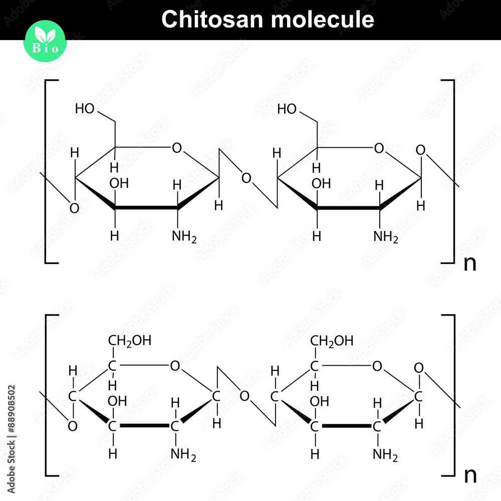 Chitosan molecule structure Chitosan molecule structure