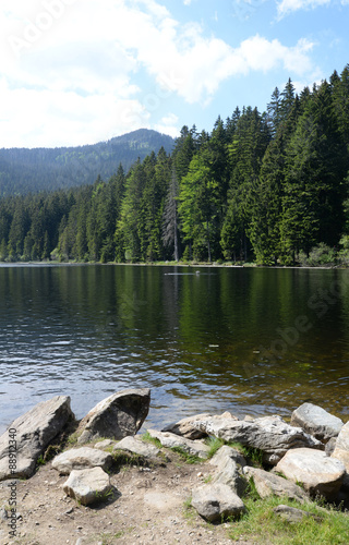 Großer Arbersee photo