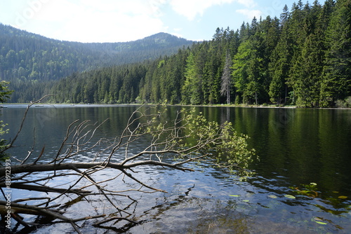 Großer Arbersee photo