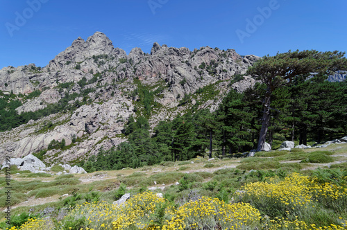 Montagne de Bavella