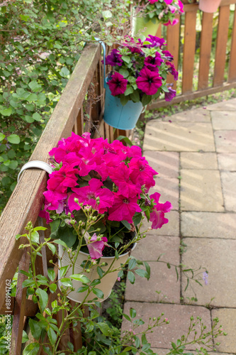 Fototapeta Naklejka Na Ścianę i Meble -  pink summer flowers / Flower pots on fence with pink petunias