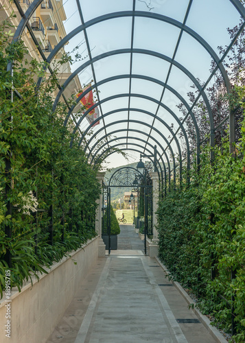 green arcs made of tropical plants above pedestrian pathway 