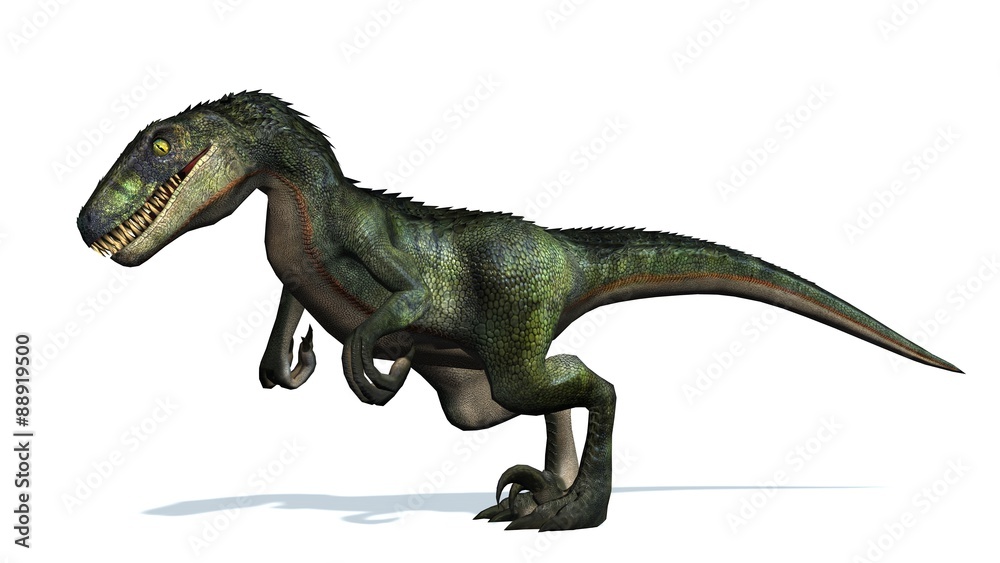 Naklejka Welociraptor dinozaury - na białym tle