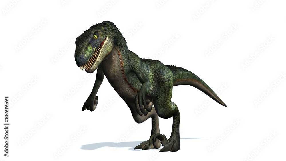 Fototapeta premium velociraptor dinosaurs - isolated on white background