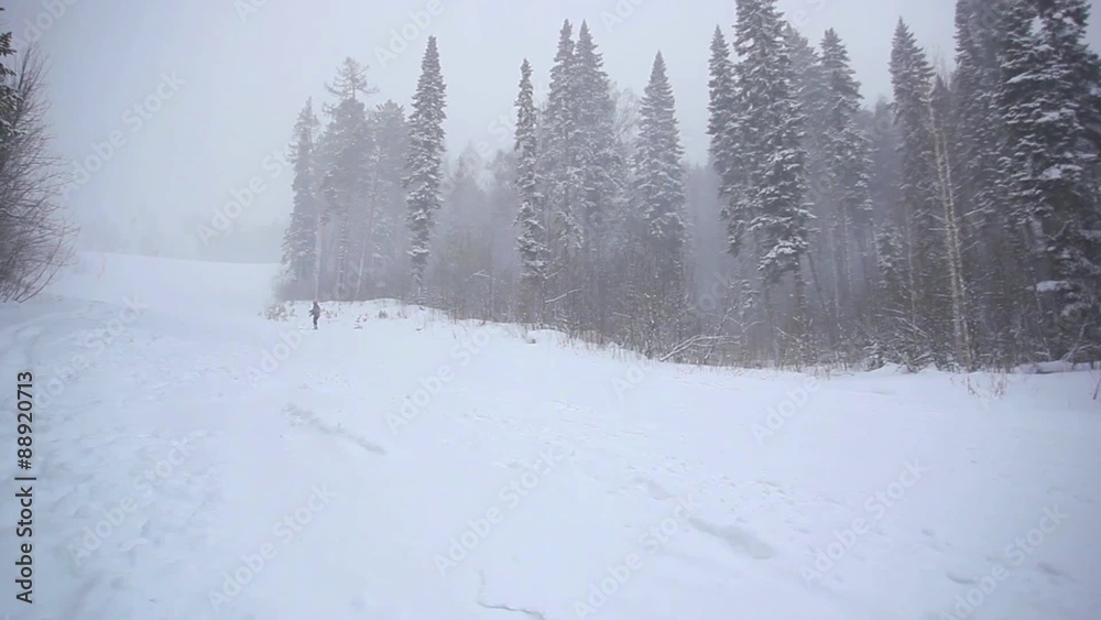 Skier going down the slope in mountains between trees at Skier going down the slope in mountains between trees at