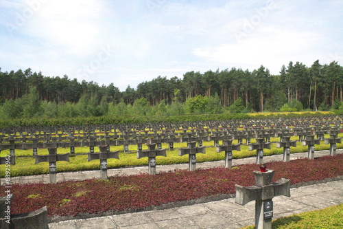 cmentarz w Palmirach