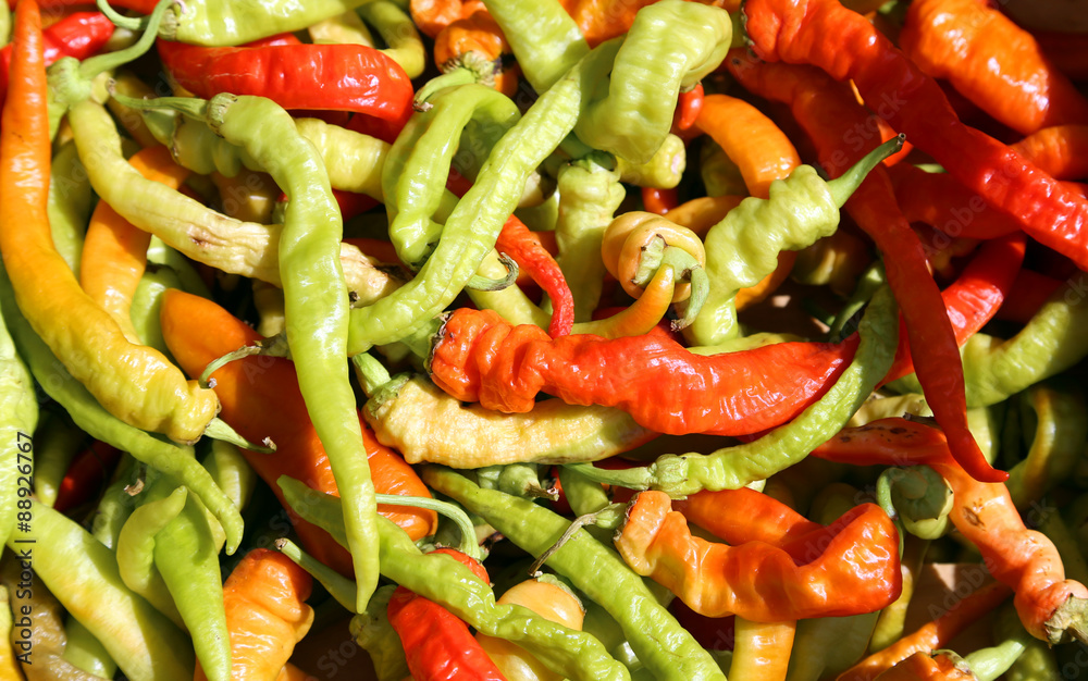 green and red spicy chilis background green and red spicy chilis background