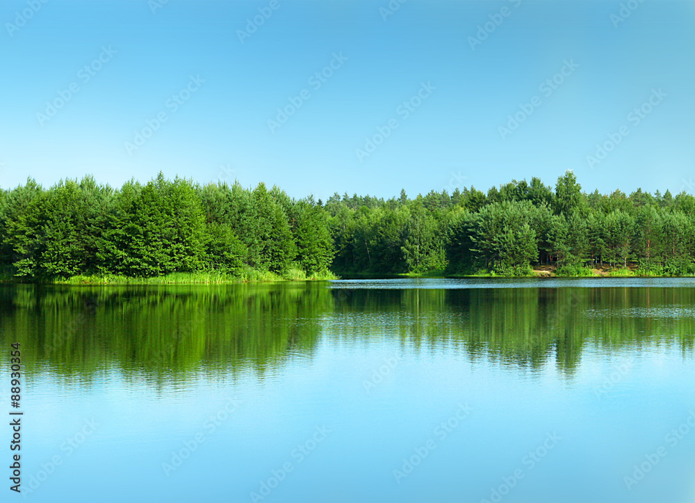 Лес отражается в чистой воде родникового озера