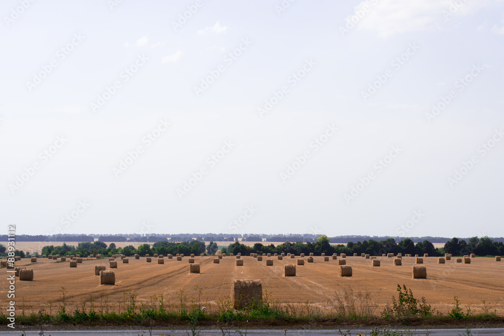 Fototapeta premium bales of straw