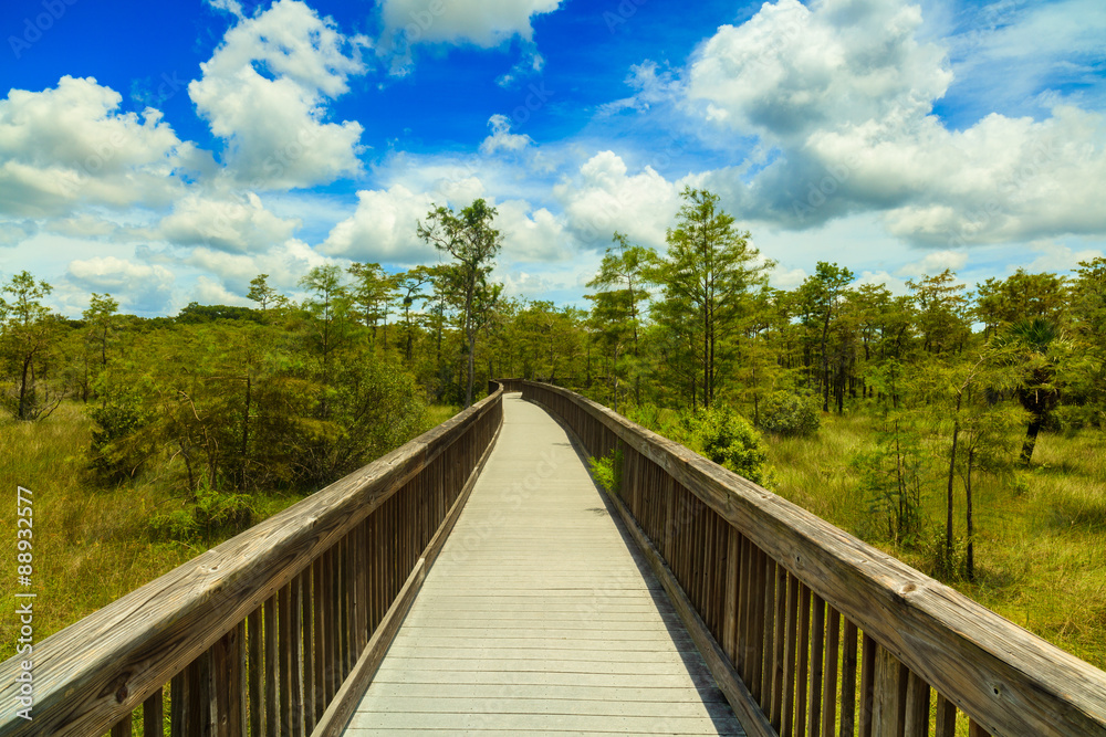 Florida Everglades