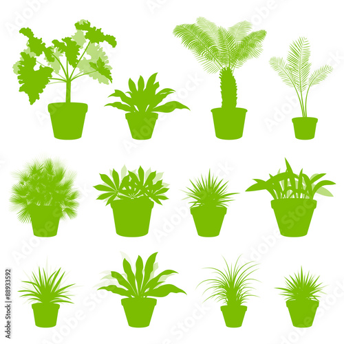 House indoor plants in pots set vector background green concept
