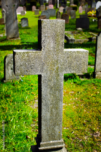 graveyard with rows of crosses