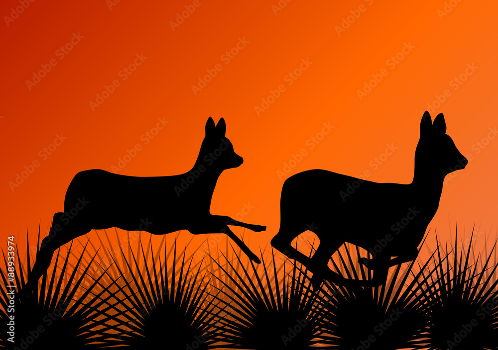 Deer doe in grass field vector background Deer doe in grass field vector background