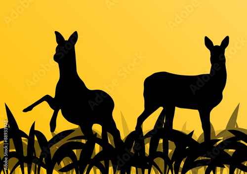 Deer doe in grass field vector background
