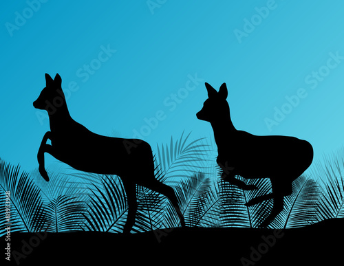 Deer doe in grass field vector background