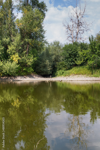 River and a Forest photo