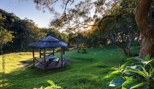 Aire de pique nique en forêt tropicale.