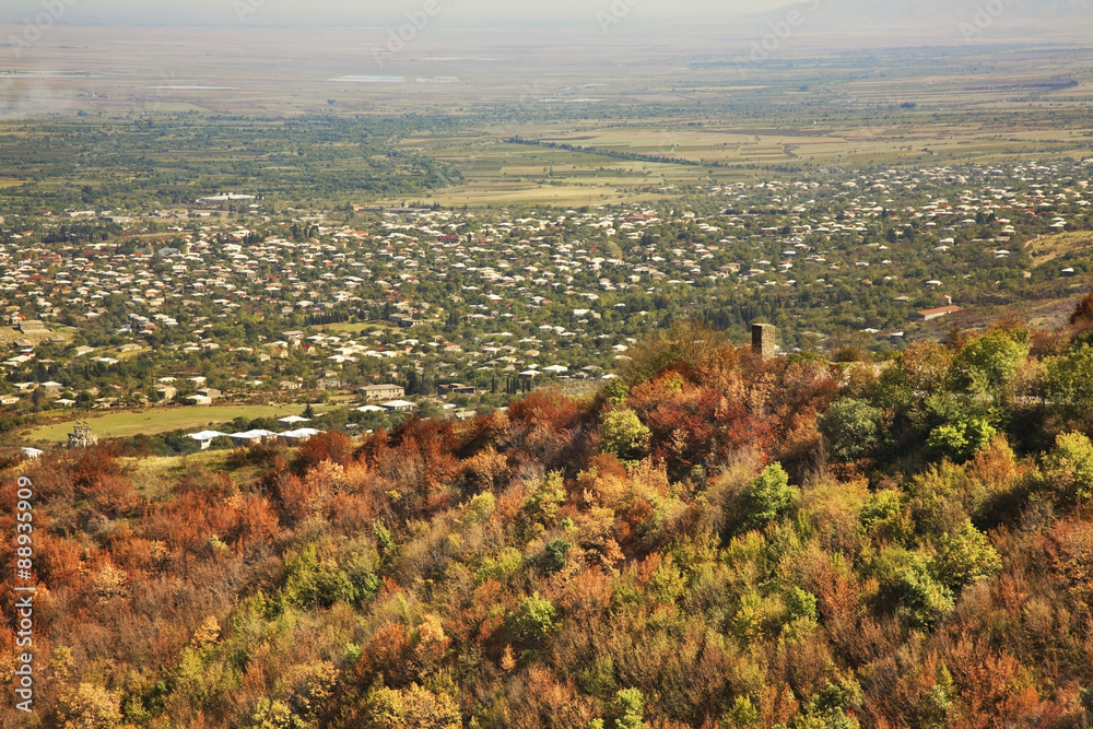 View of the town Tsnori. Georgia