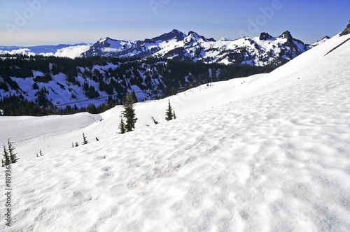 Alpine scene around Mount Rainier, North Cascades, Washington